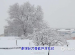 烟台奇观：暴雪中烟囱冒烟，冬日奇景引人瞩目
